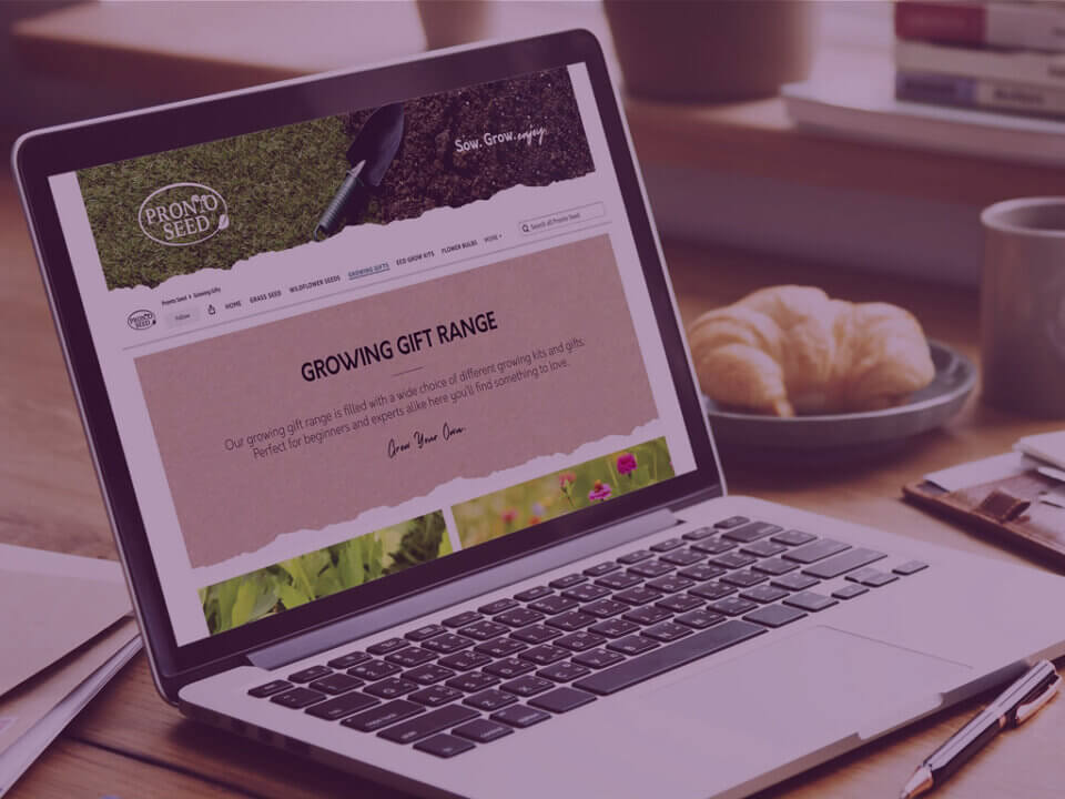 Pronto Seed Amazon DSP Strategy Dashboard - Venture Forge Business professional reviewing a performance dashboard on a desktop monitor in a modern office workspace